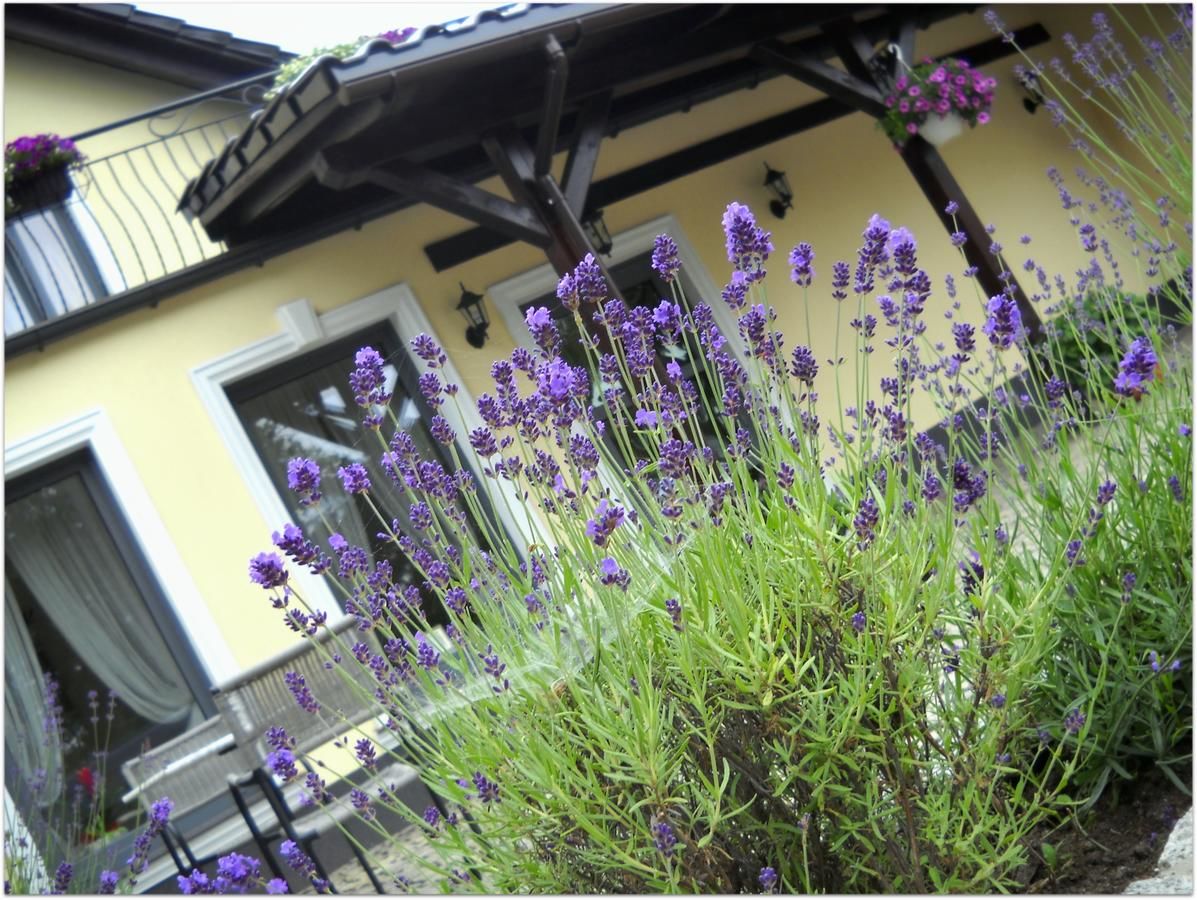 Мини-отель Lavender - Restauracja i pokoje gościnne Новы-Томысль-23